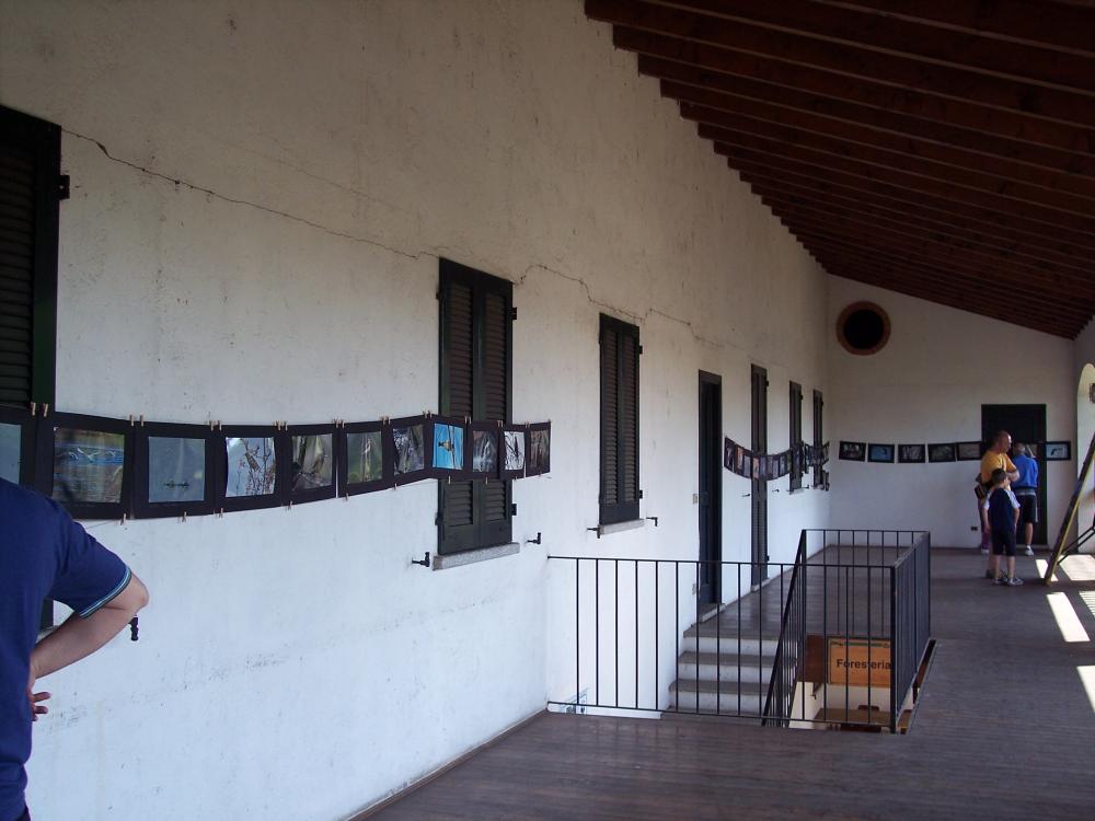 Giornata delle oasi 2007 alla ris.nat.reg.BOSCO DI VANZAGO m